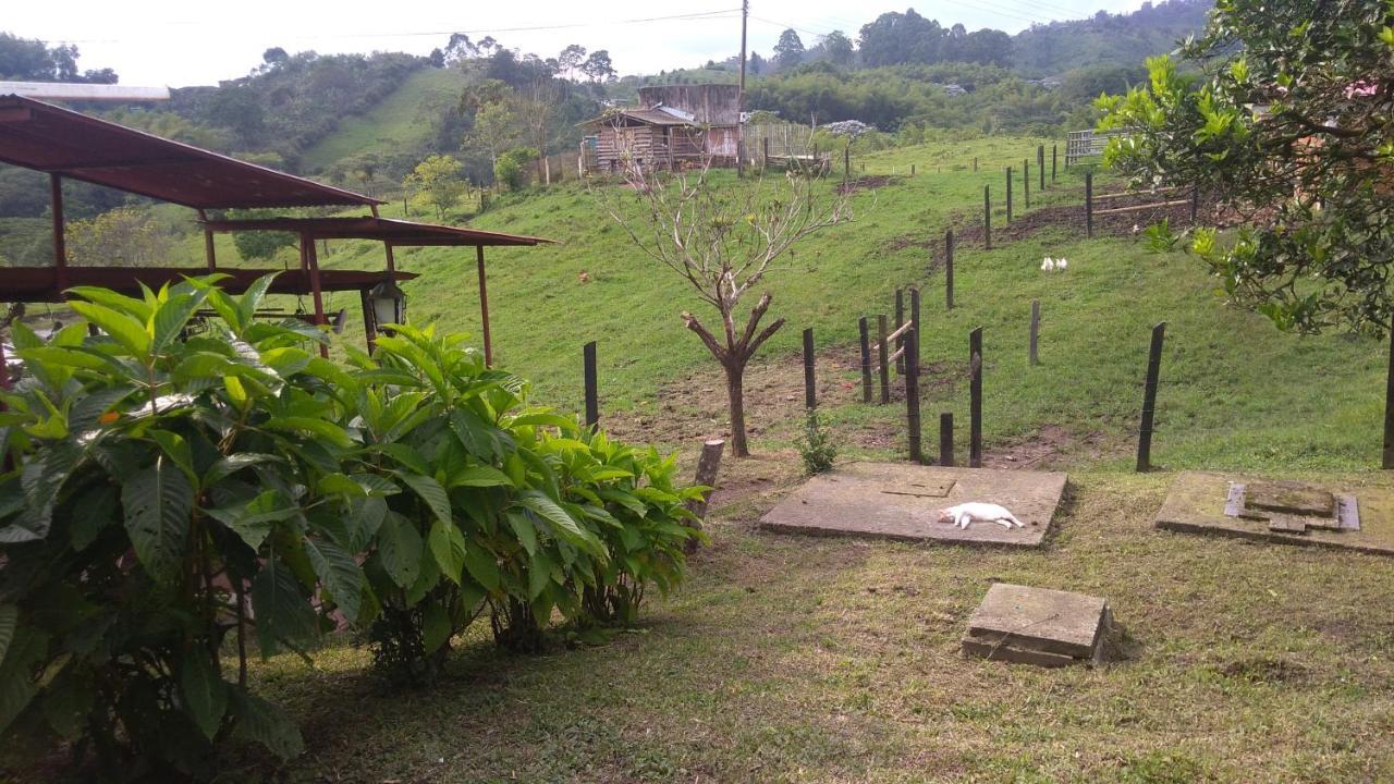 Rancho Ventura Villa Filandia Exterior foto