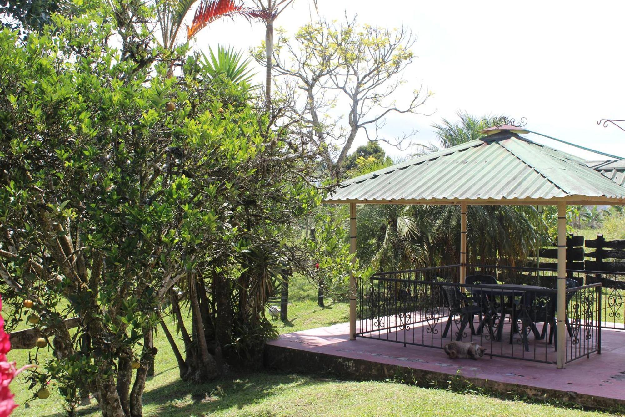 Rancho Ventura Villa Filandia Exterior foto